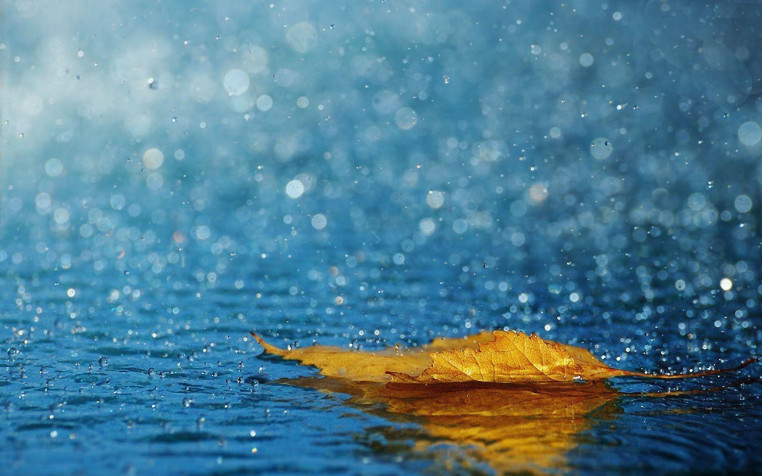 Rain Widescreen HD Wallpaper 1920x1200px