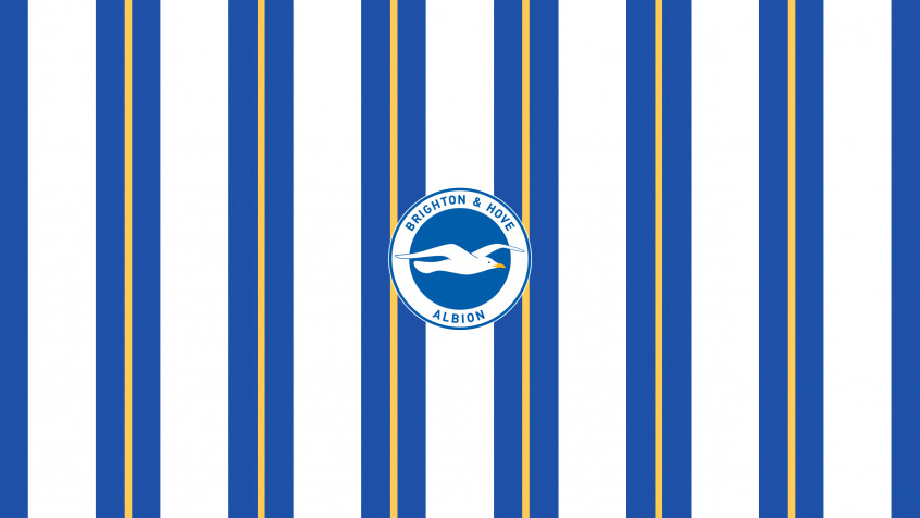 Brighton Fc 2k QHD Wallpaper 2560x1440px