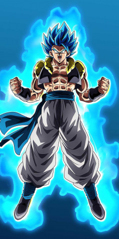 Gogeta iPhone Background Image 1080x2160px