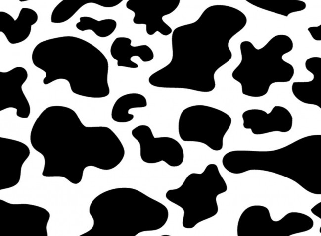 Cow Print Background Image 1915x1404px