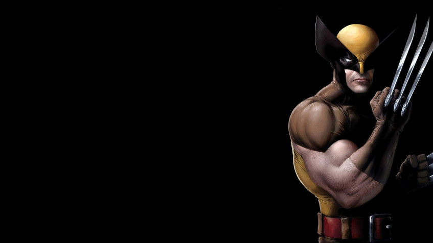 Wolverine Hd Full HD 1080p Wallpaper 1920x1080px