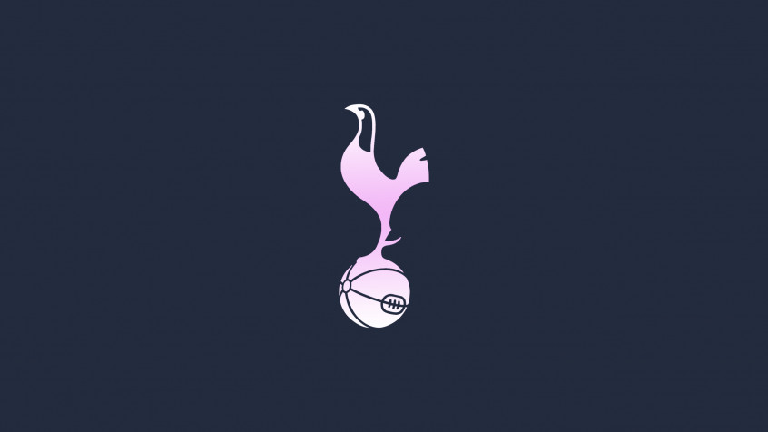 Tottenham Hotspur Fc 2k QHD Wallpaper 2560x1440px