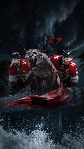 Florida Panthers Phone HD Background 1711x3042px