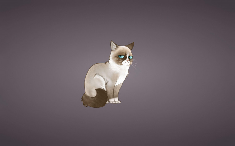 Grumpy Cat Retina Widescreen Wallpaper 2880x1800px