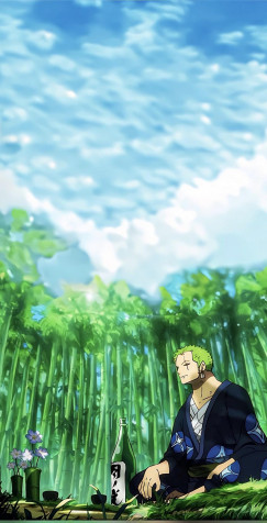 Zoro Phone Wallpaper 1170x2288px