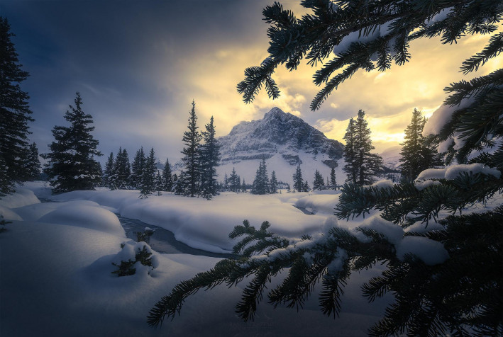 Winter HD Wallpaper 1920x1290px