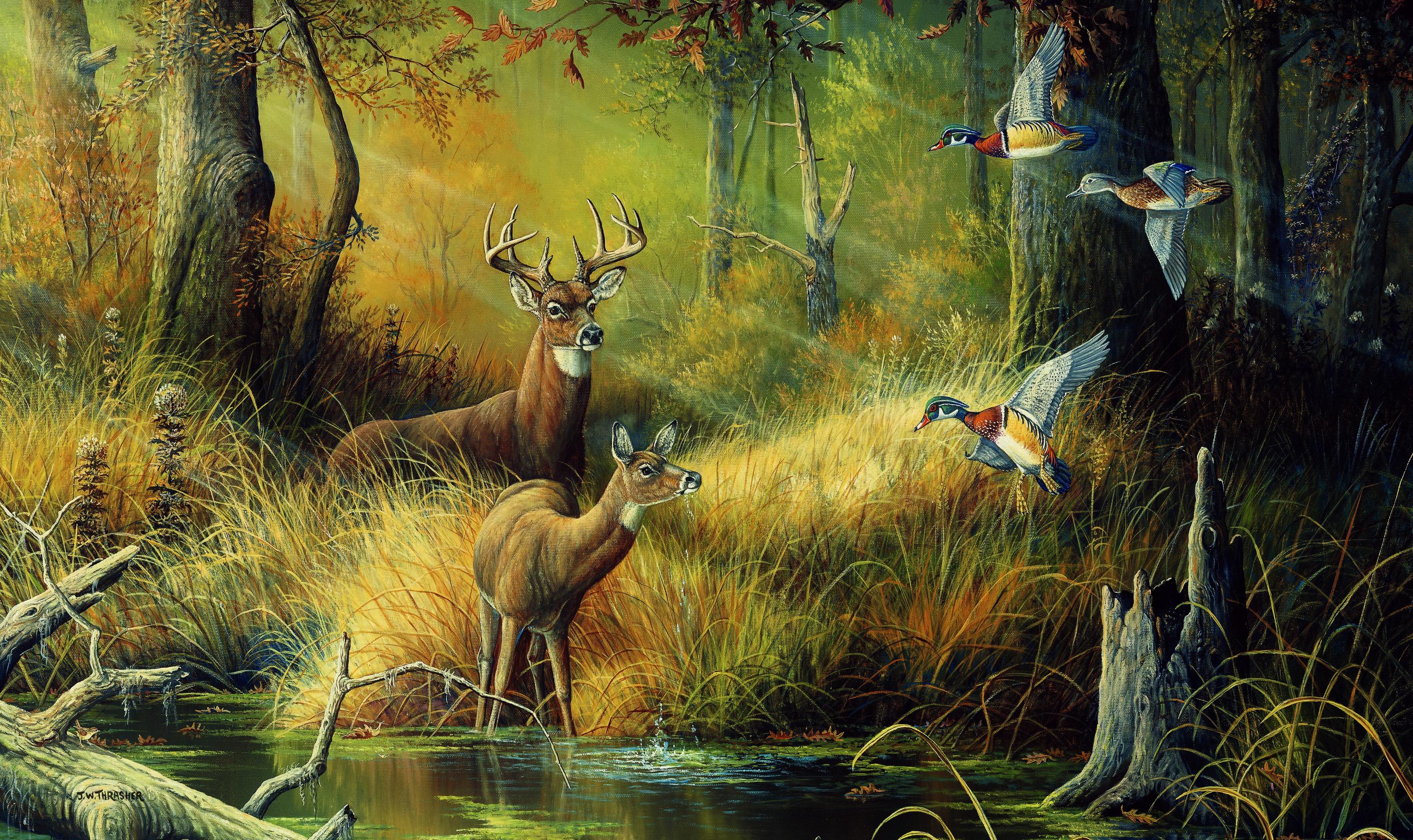 Deer Laptop Wallpaper 3200x1904