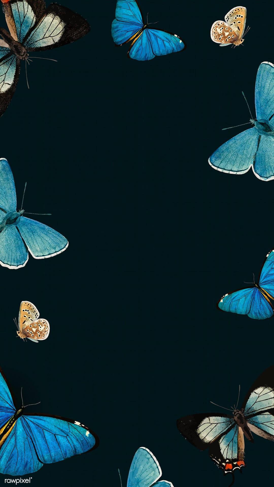 Butterfly Phone Background 1080x1920