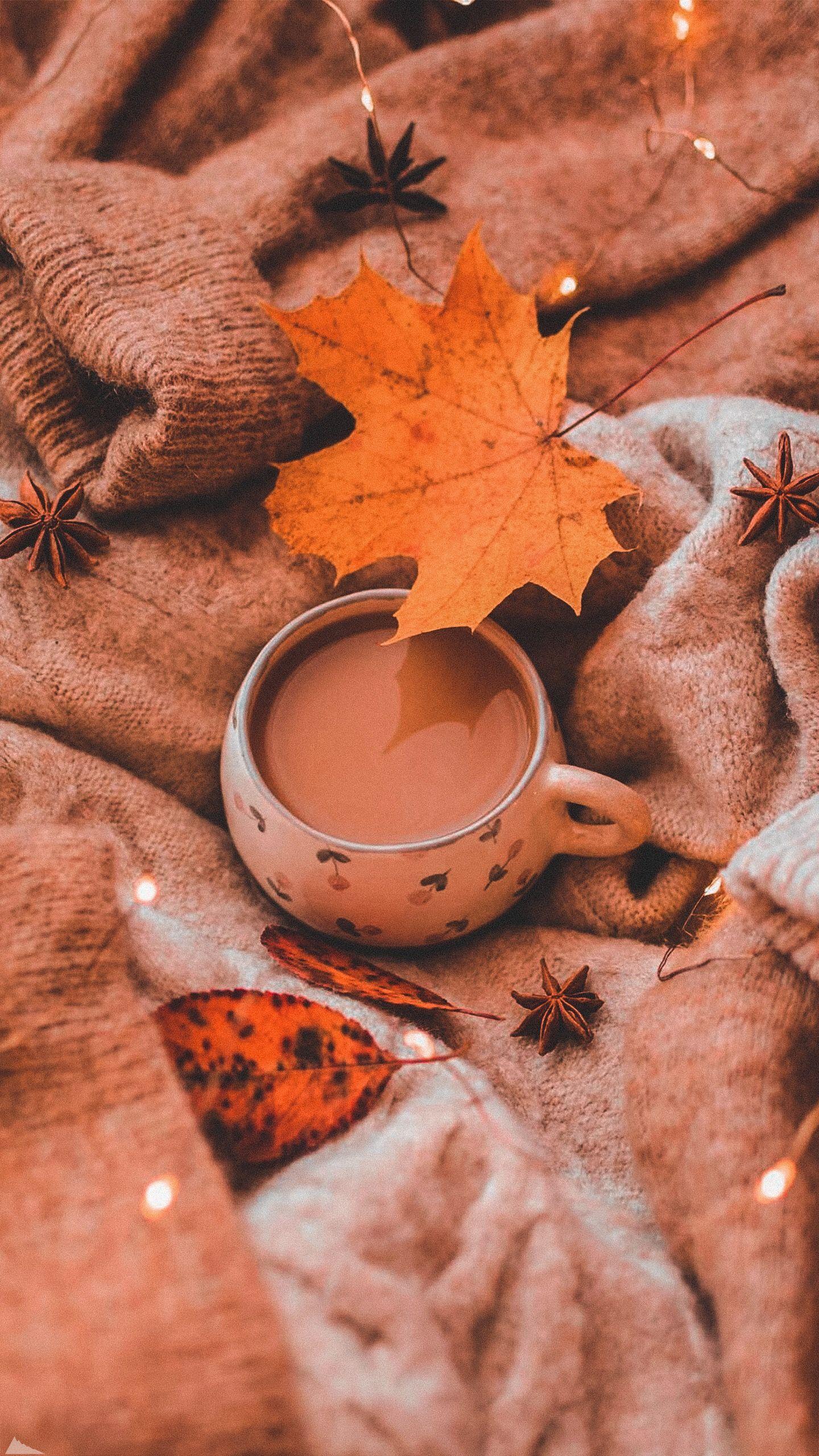 Fall Phone HD Background 1440x2561