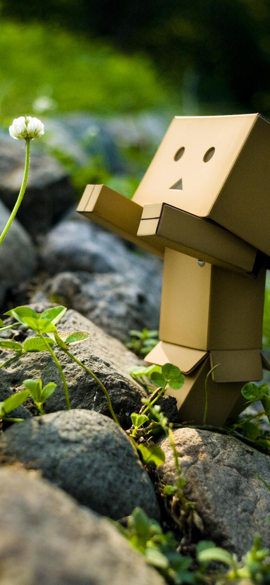 Danbo iPhone 13 Mini Wallpaper 1080x2340