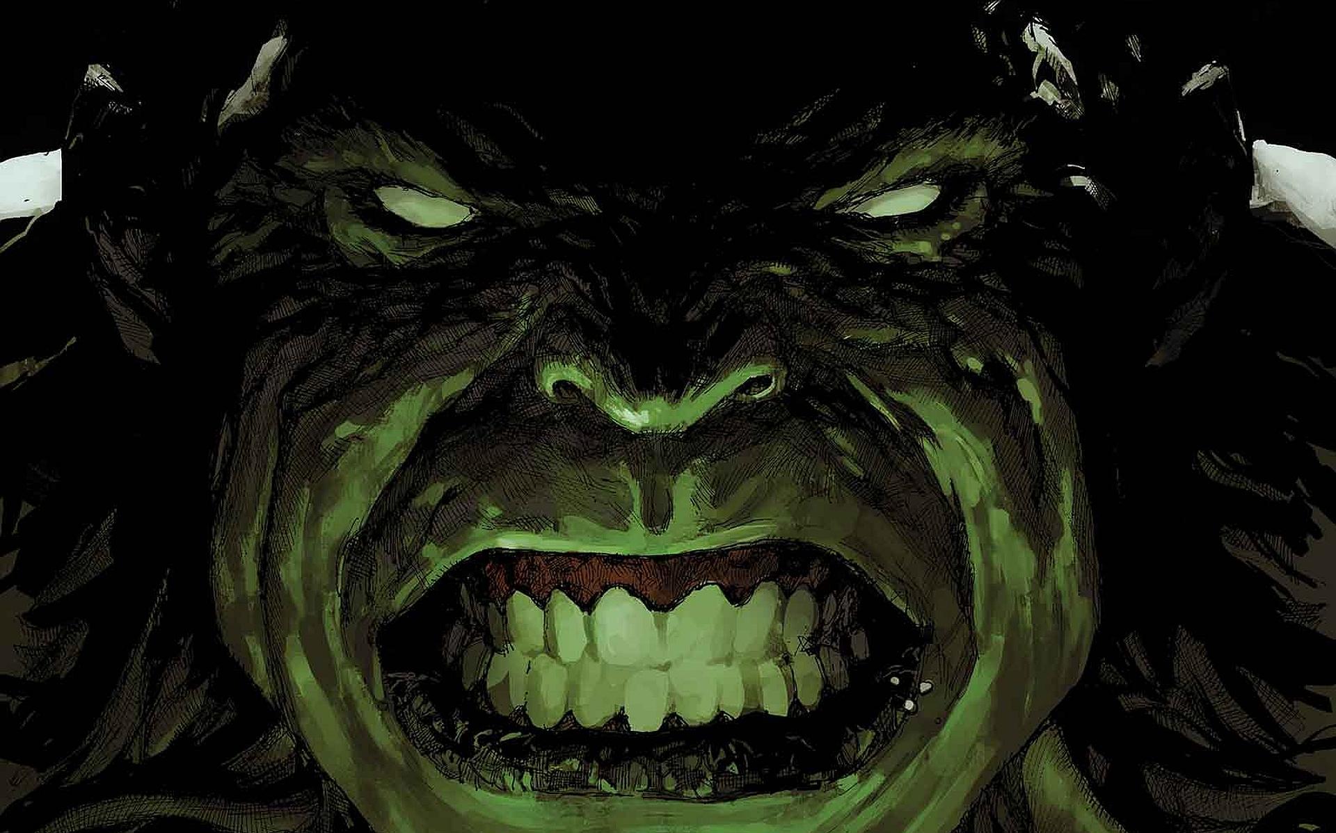 Hulk Hd HD Wallpaper 1920x1199