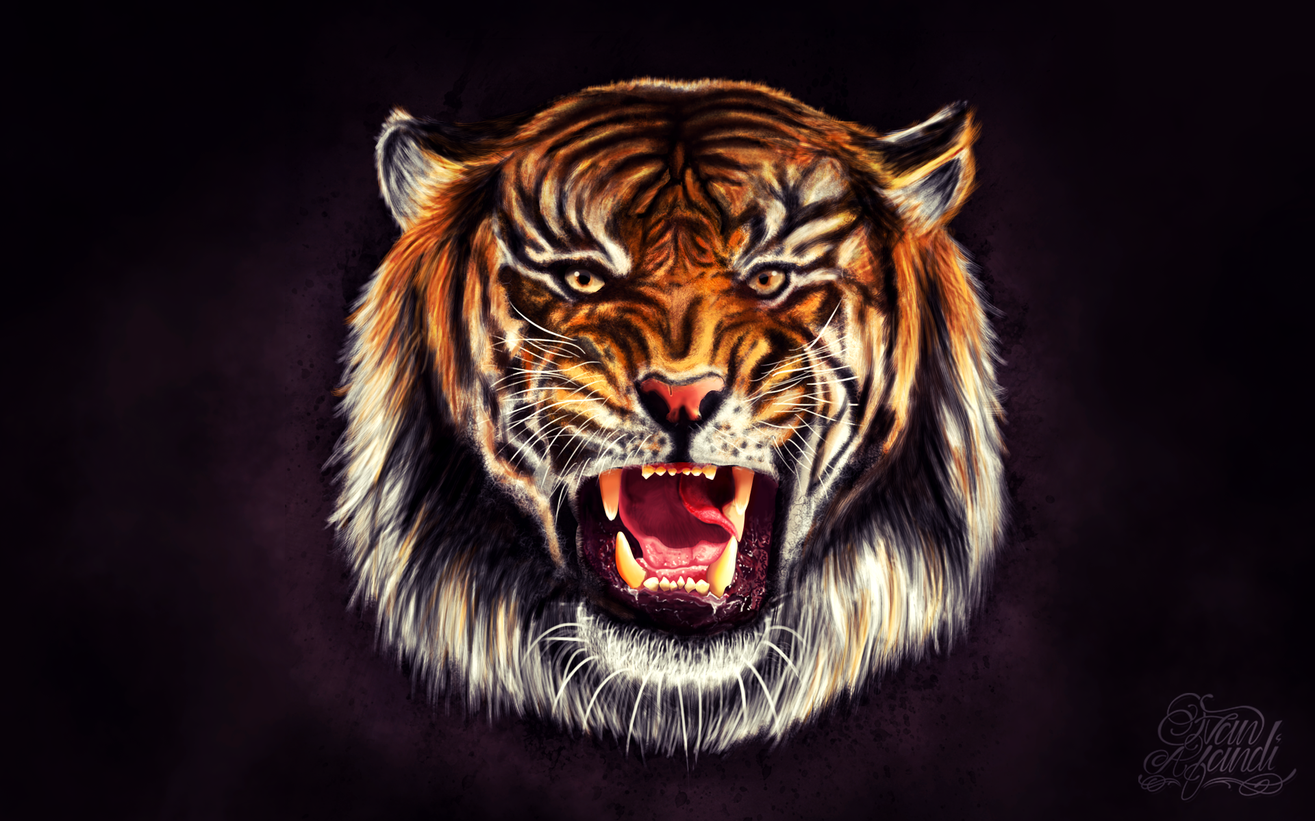 Tiger Widescreen HD Wallpaper 1920x1200