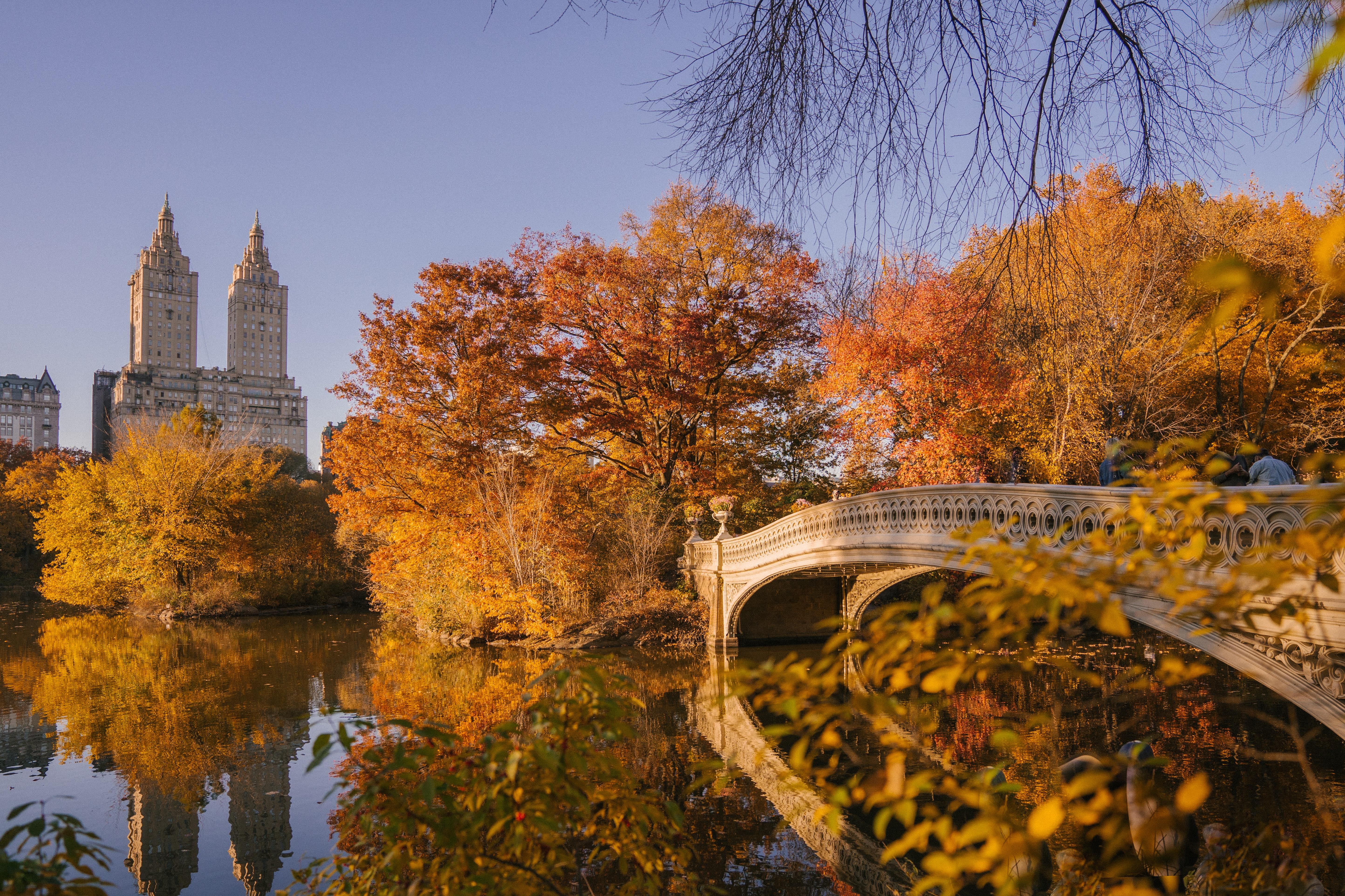 Central Park MacBook Wallpaper 5774x3849