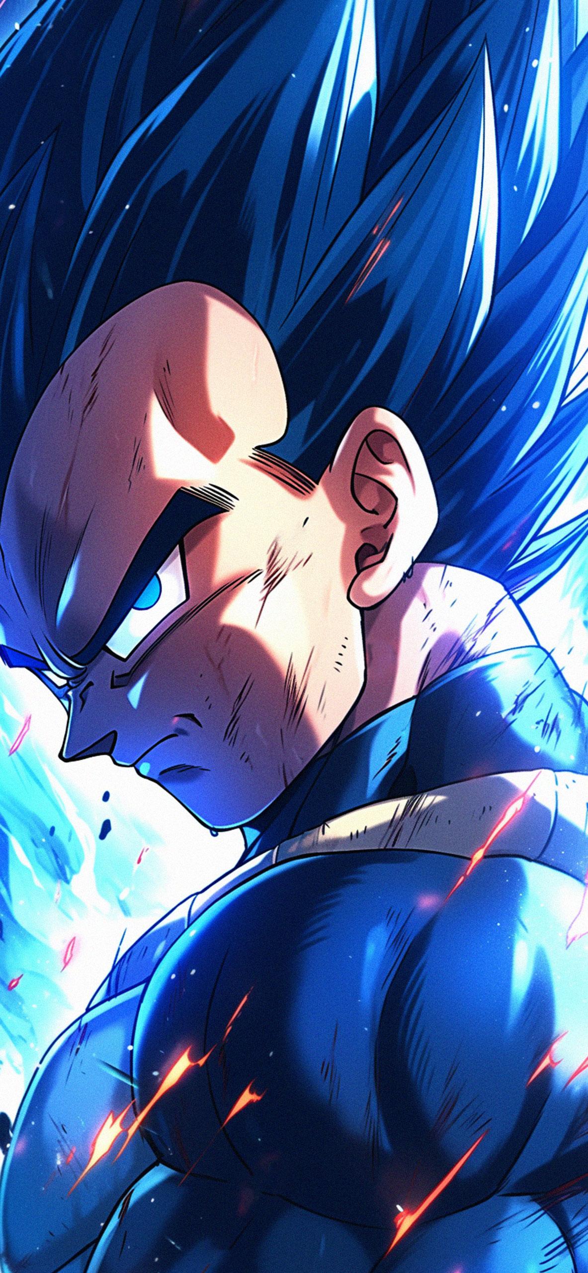 Dragon Ball Z Phone Wallpaper 1183x2560