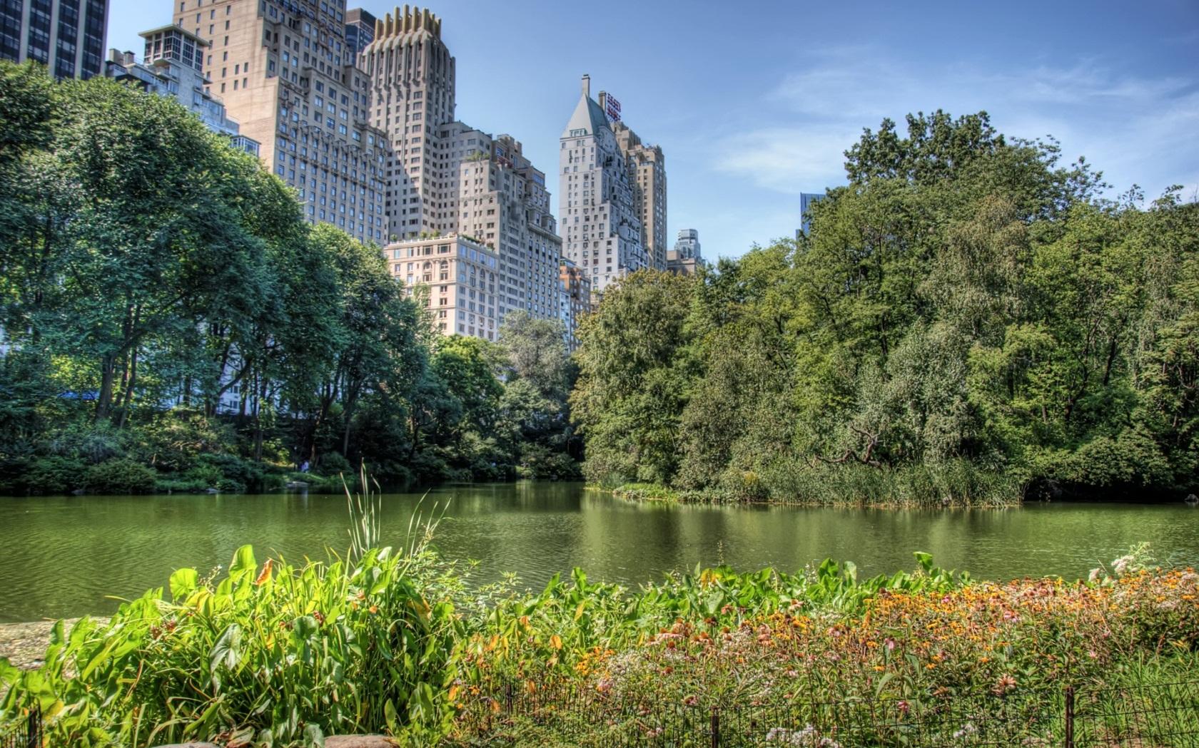 Central Park Laptop Background 1680x1050