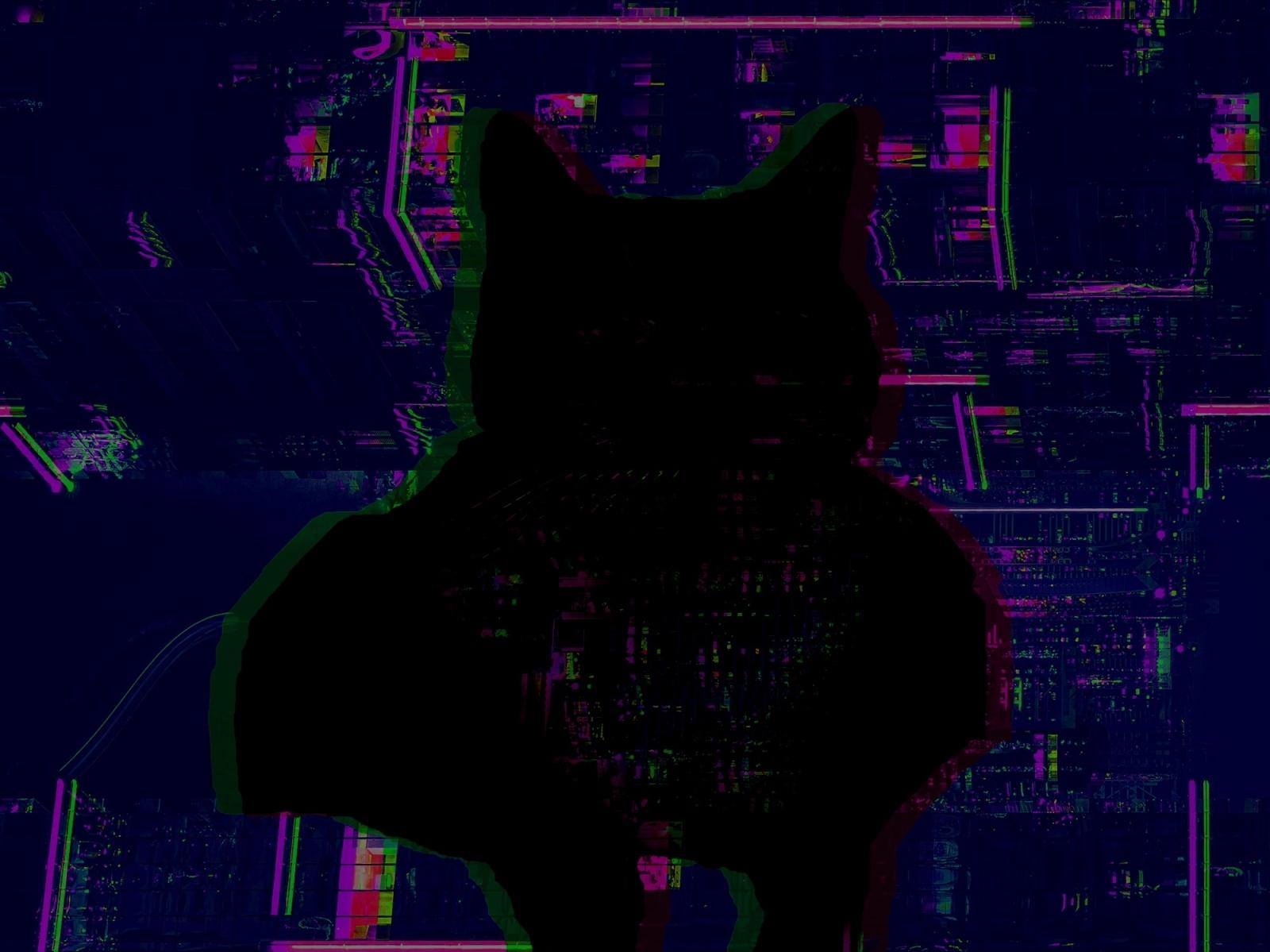 Neon Cat Desktop HD Wallpaper 1600x1200