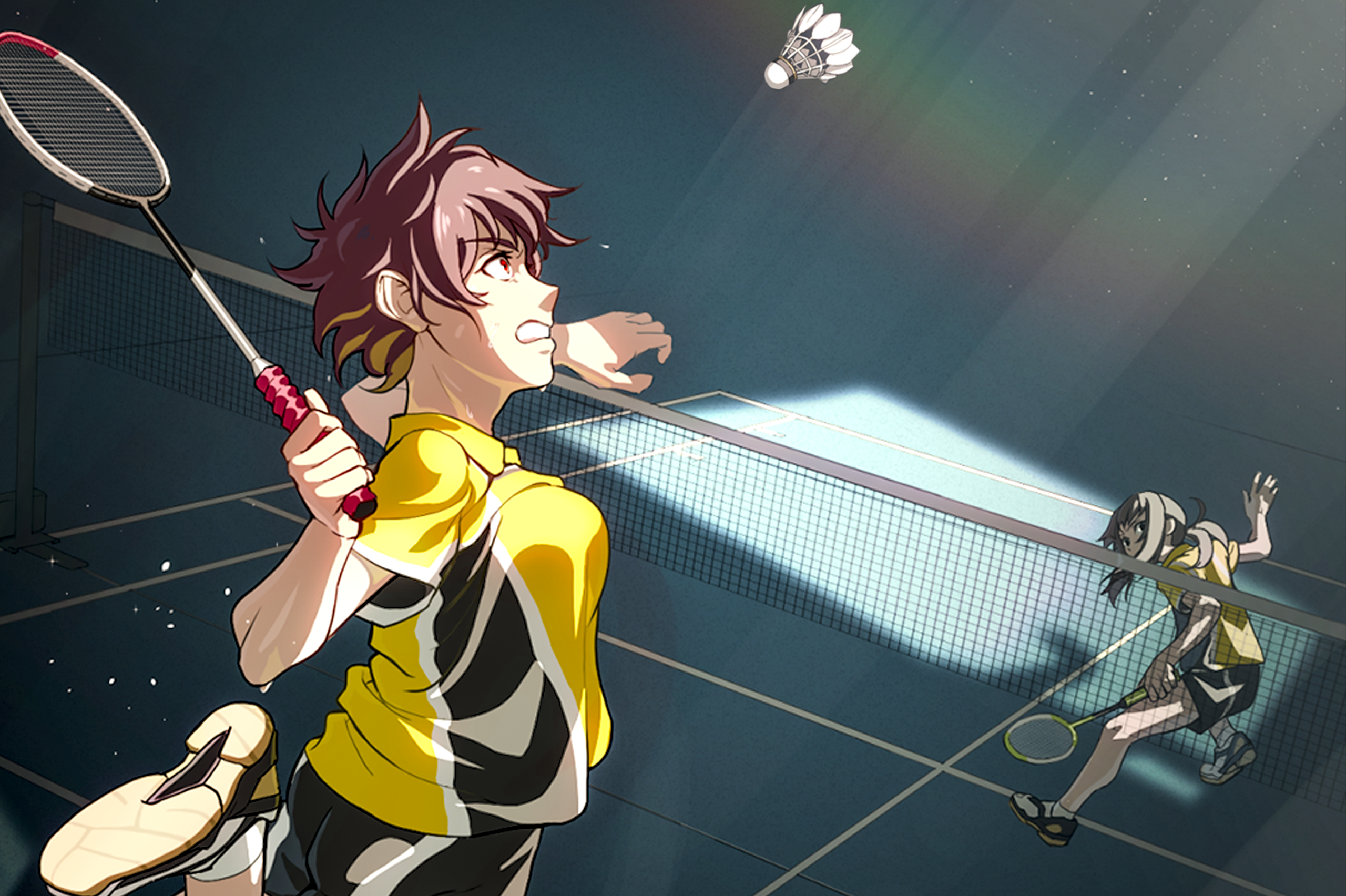 Badminton Desktop Background 2560x1705