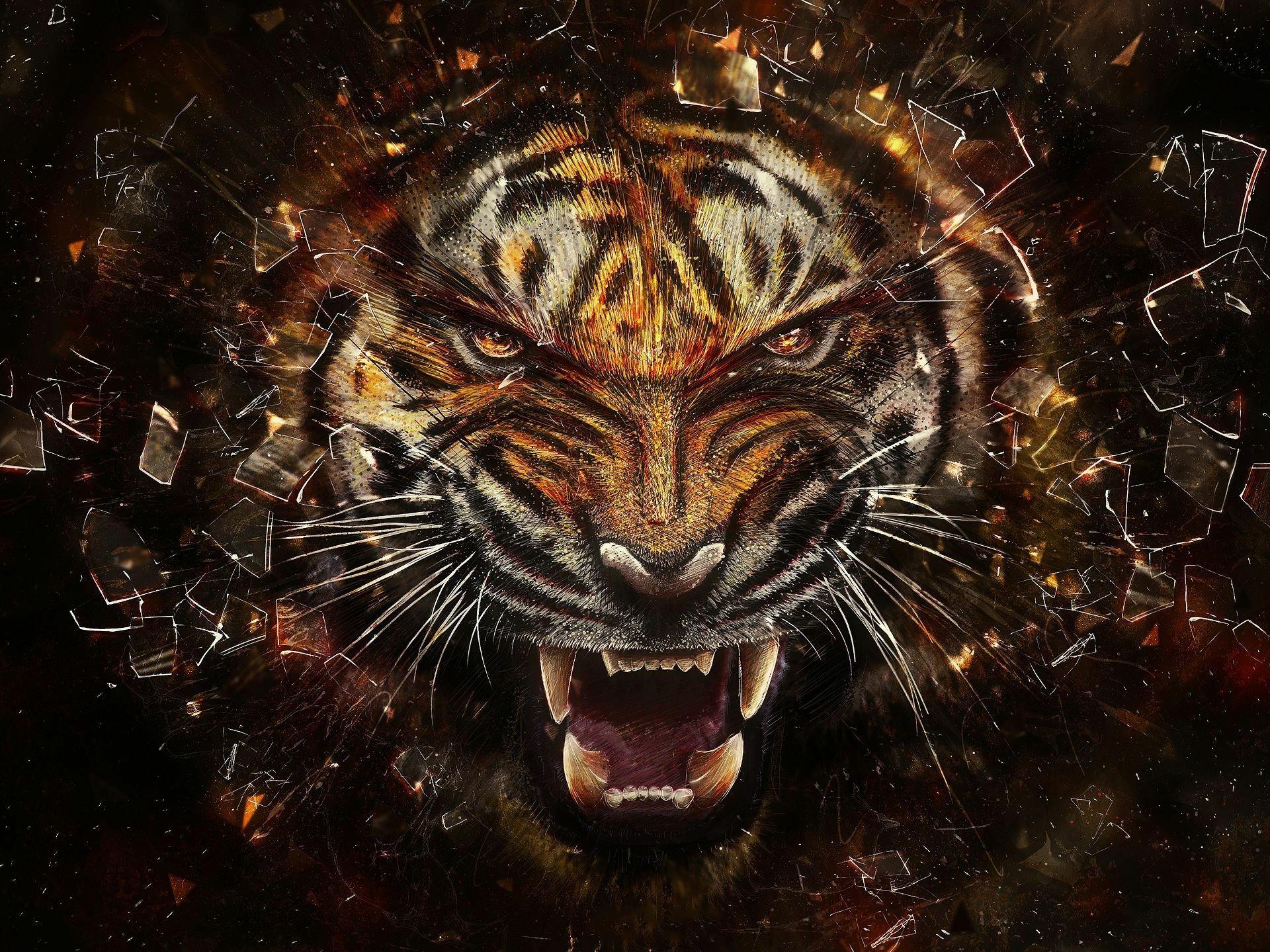 Tiger Desktop Background 1920x1440