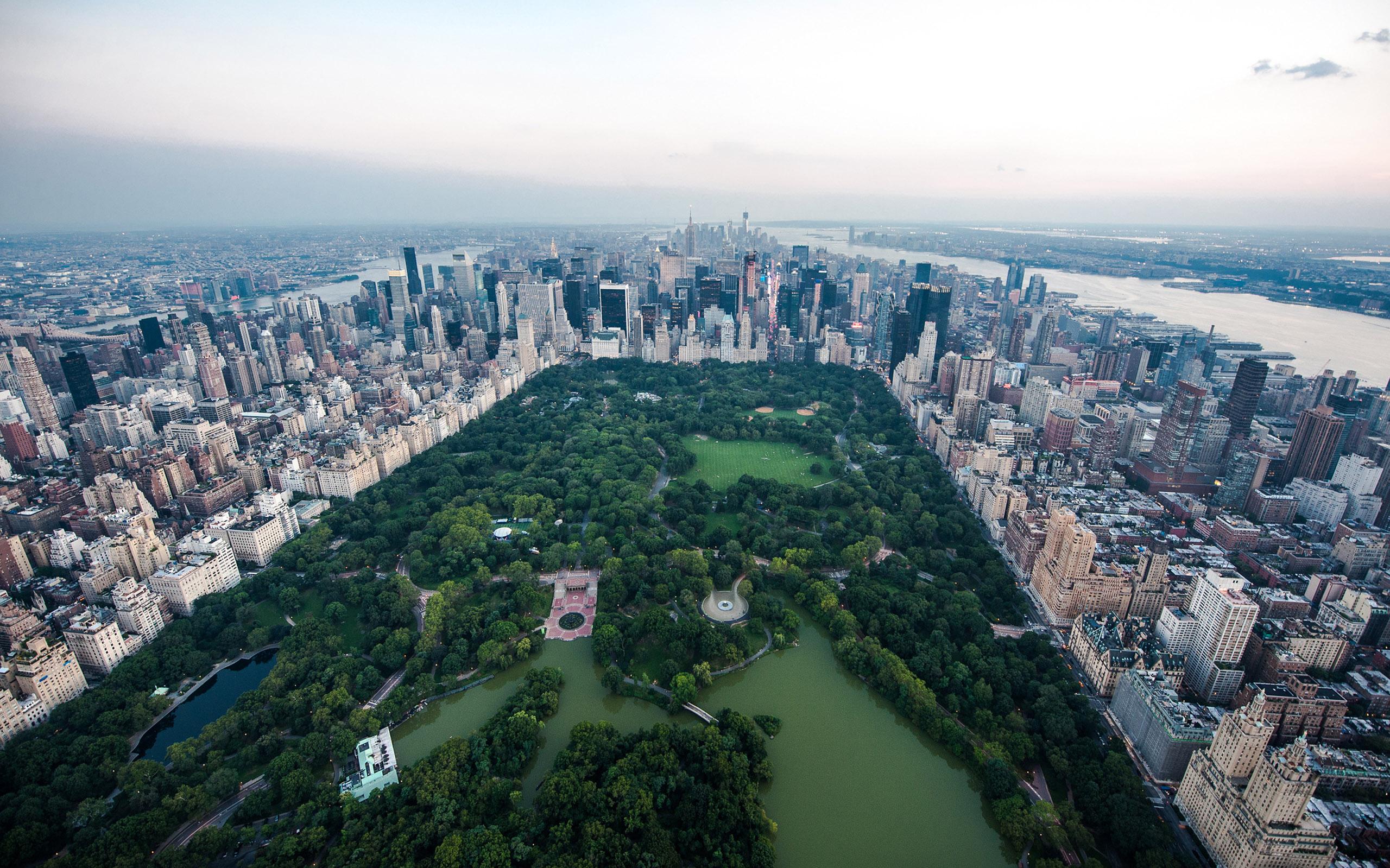 Central Park HD Background 2560x1600