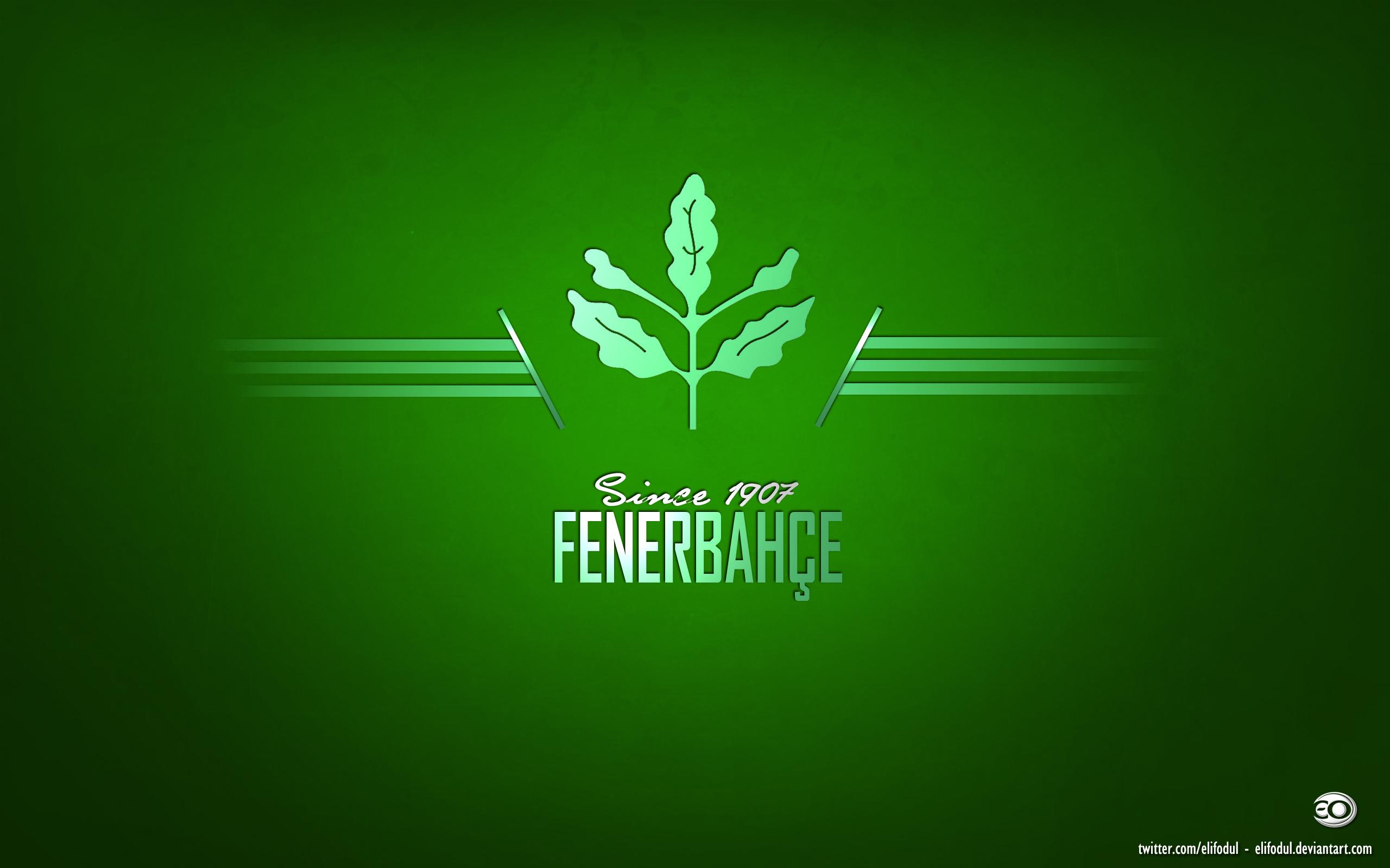 Fenerbahce S K Laptop Background 2560x1600