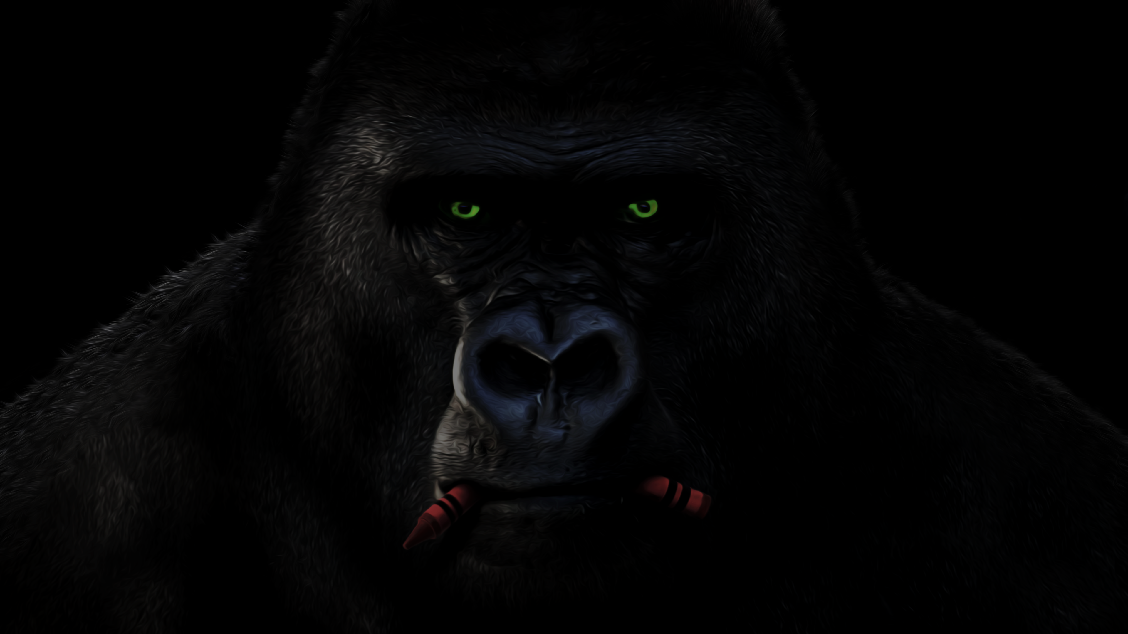 Gorilla 4k UHD Wallpaper 3840x2160