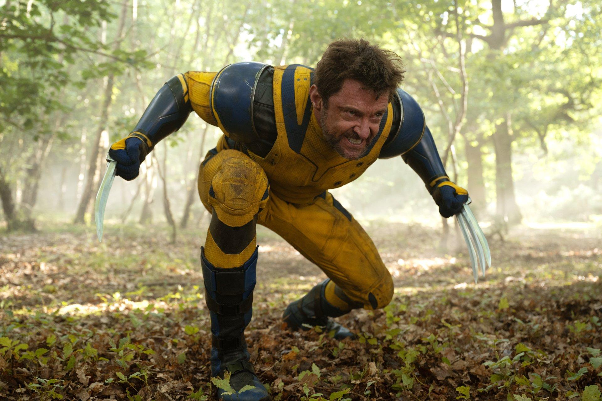 Wolverine HD Wallpaper 1920x1280