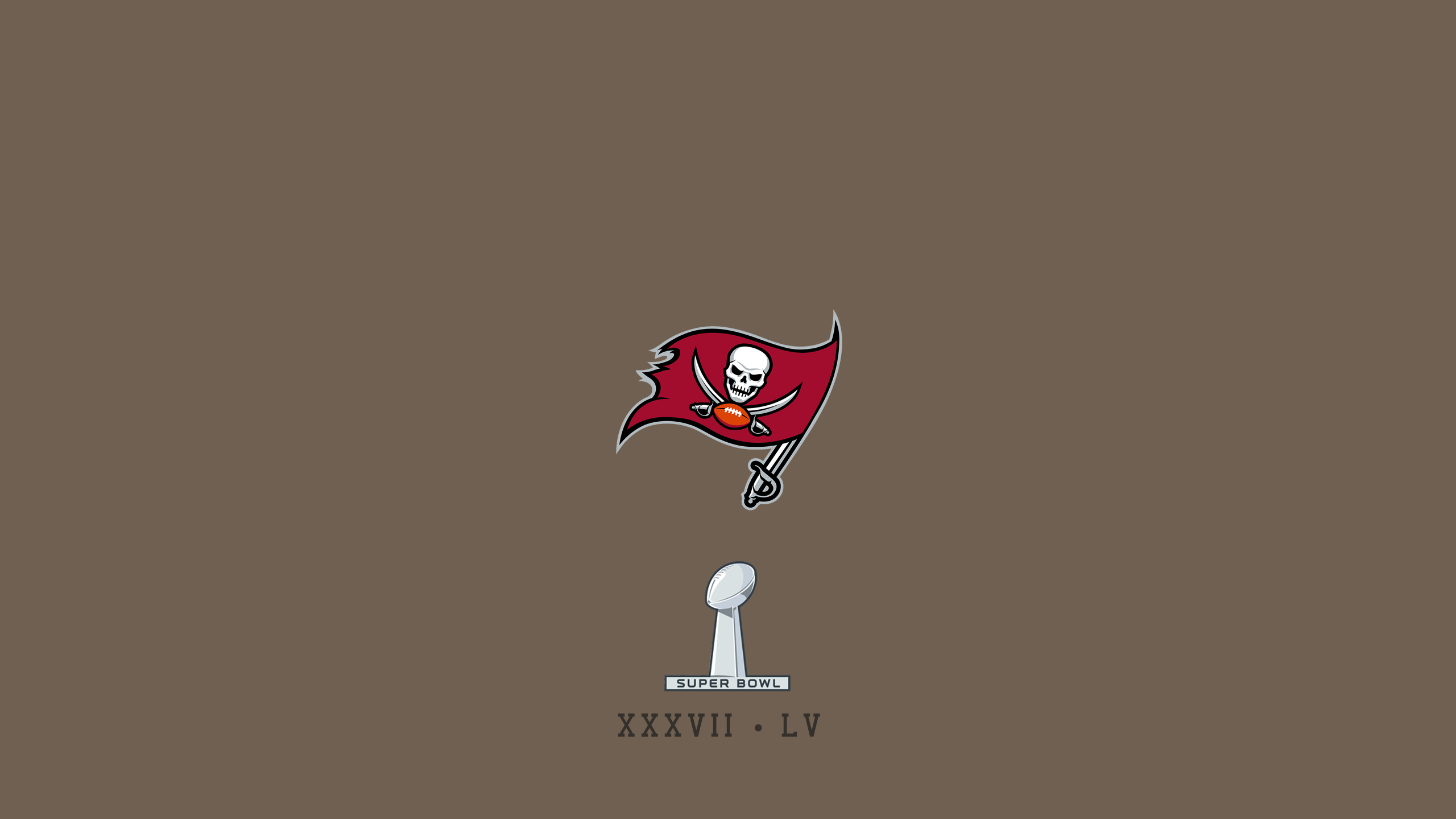 Tampa Bay Buccaneers 2k QHD Wallpaper 2560x1440