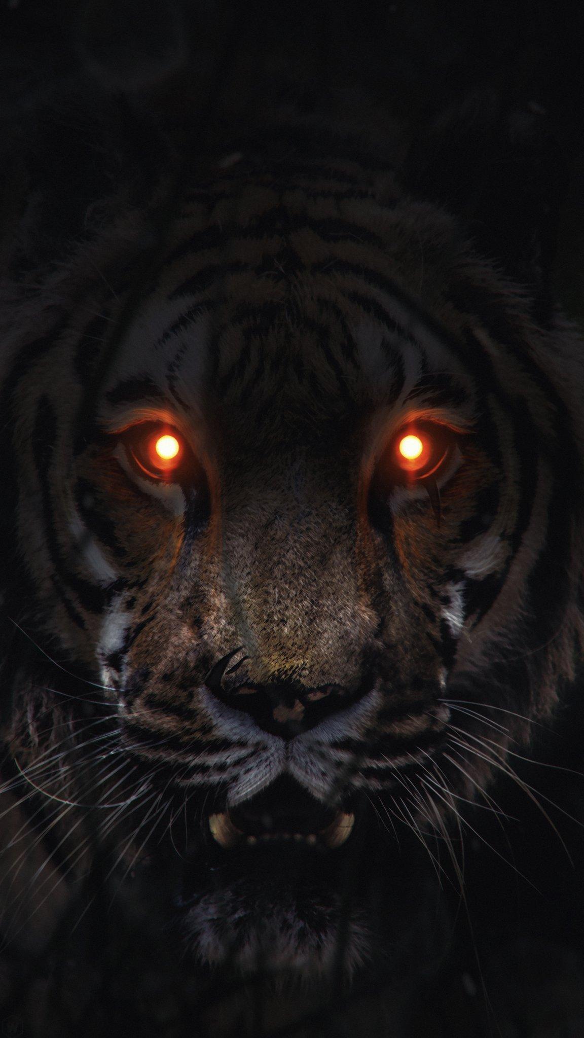 Tiger Phone Background 1152x2048