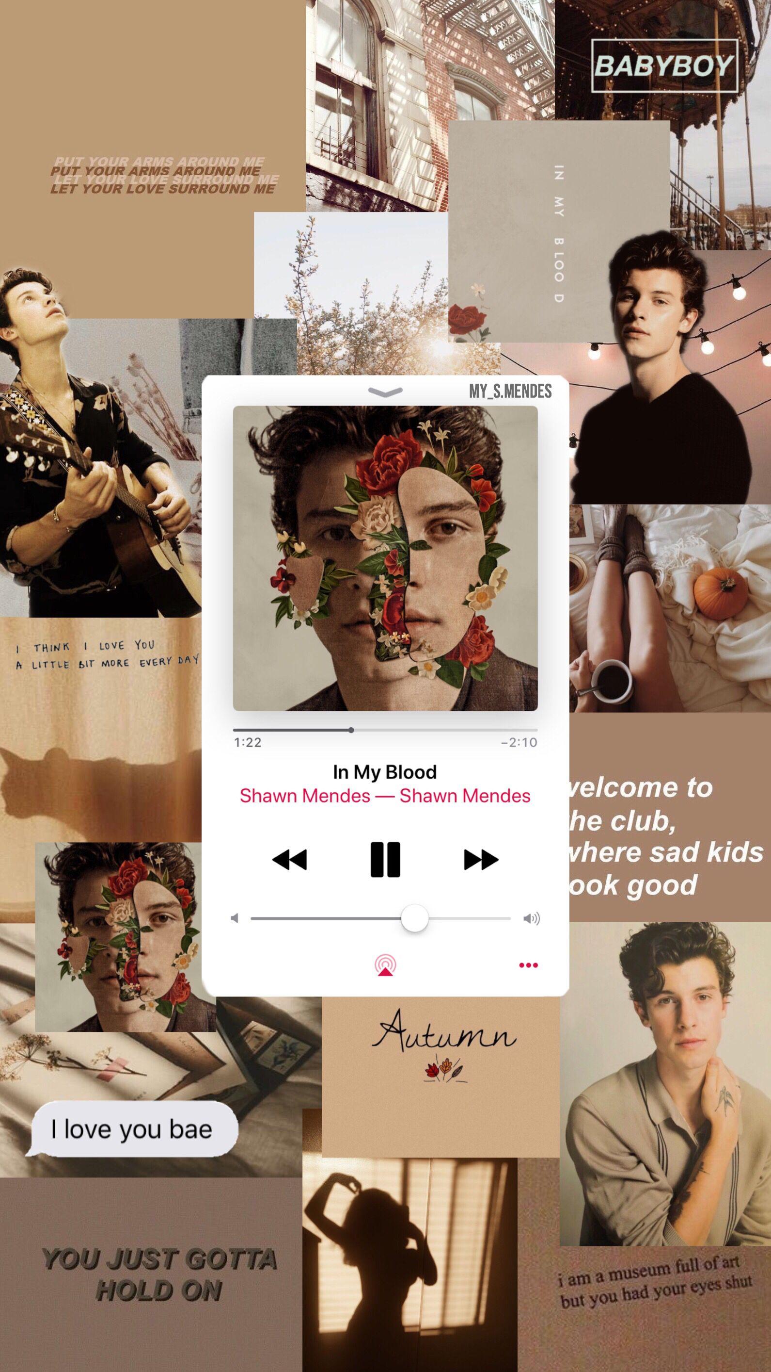 Shawn Mendes Android Wallpaper Image 1591x2829